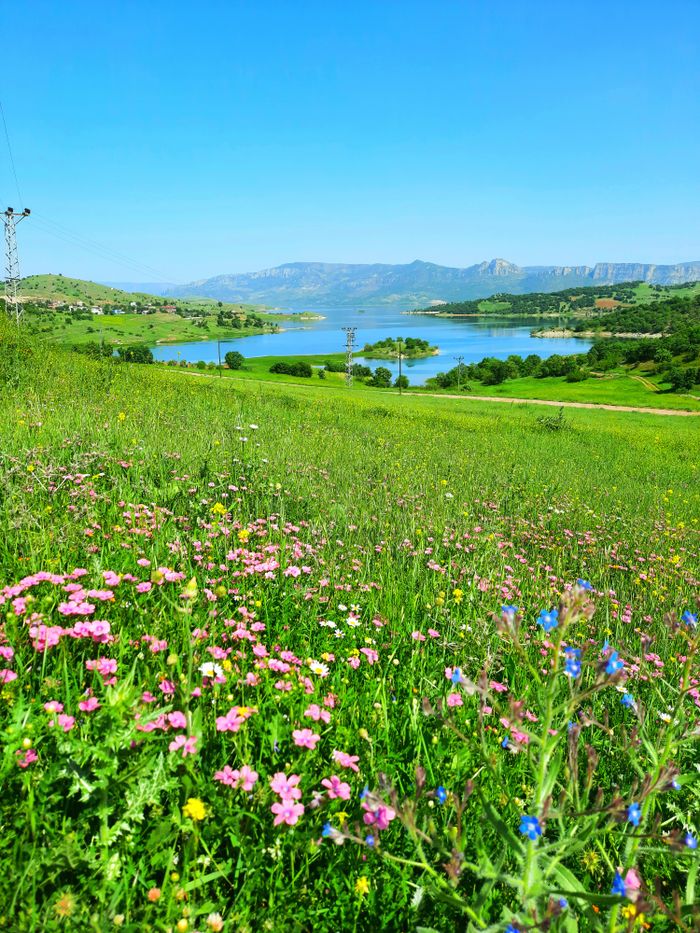 About Serene countryside view with wildflowers and a lake under a clear blue sky.